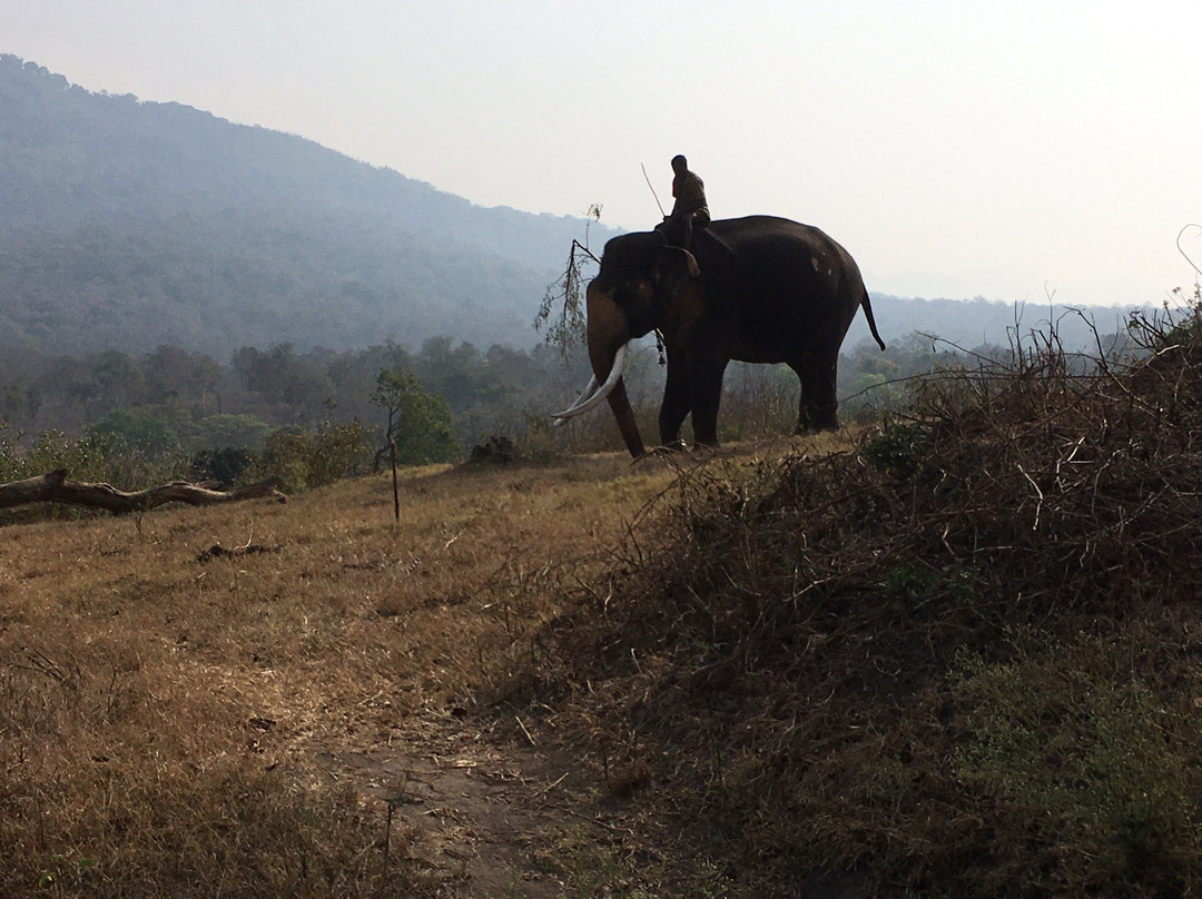 The Clive & Curzon主图