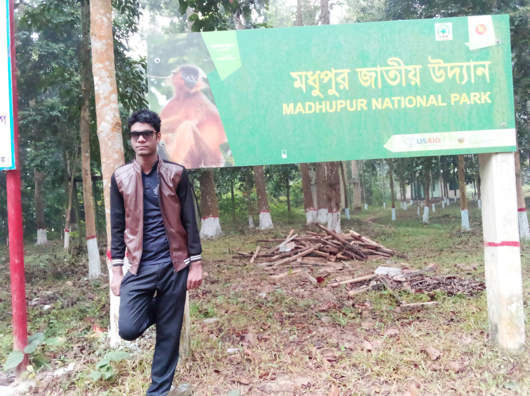 Madhupur National Park景点图片