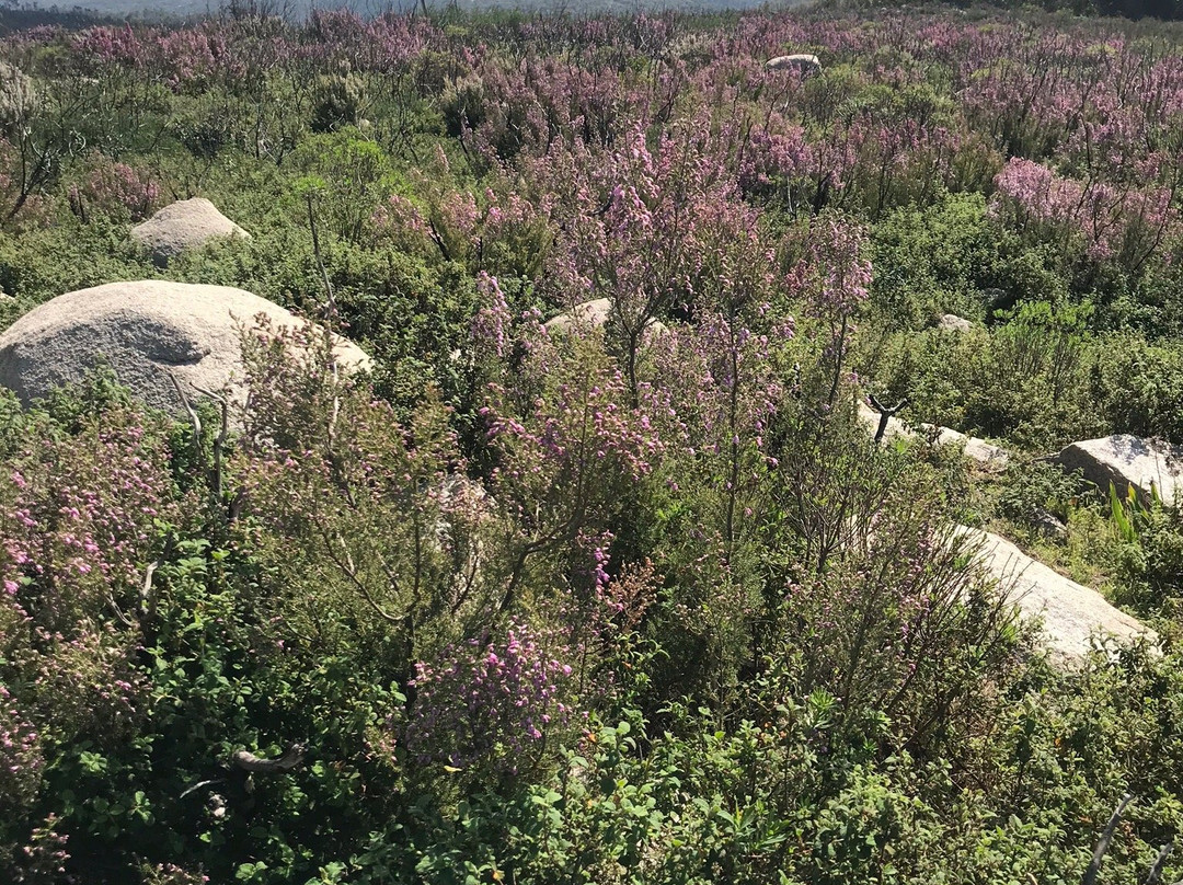 Serra da Picota景点图片