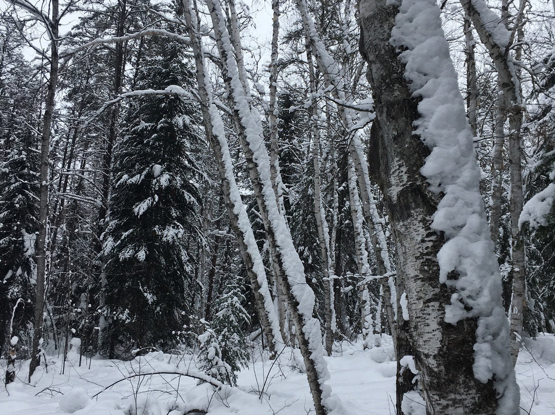 Hersey Lake Conservation Area-Timmins必去景点