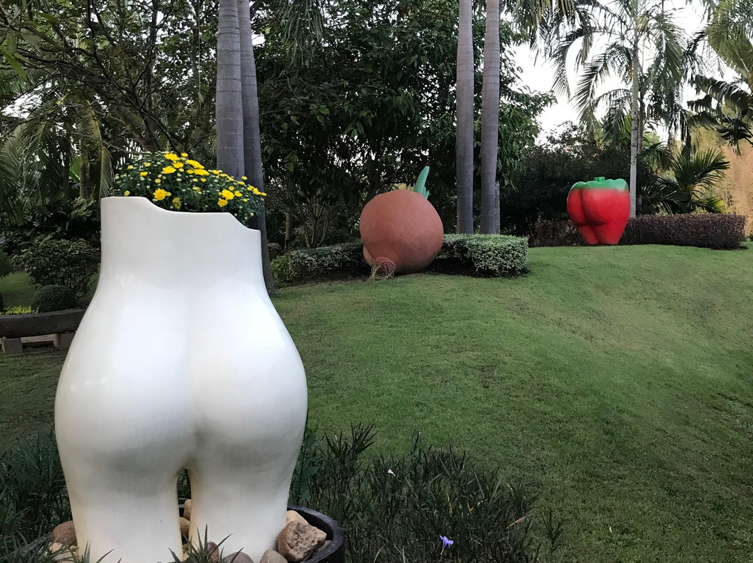 Chiang Mai Erotic Garden-夜林必去景点