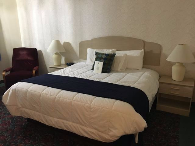 Cedar Motor Inn主图