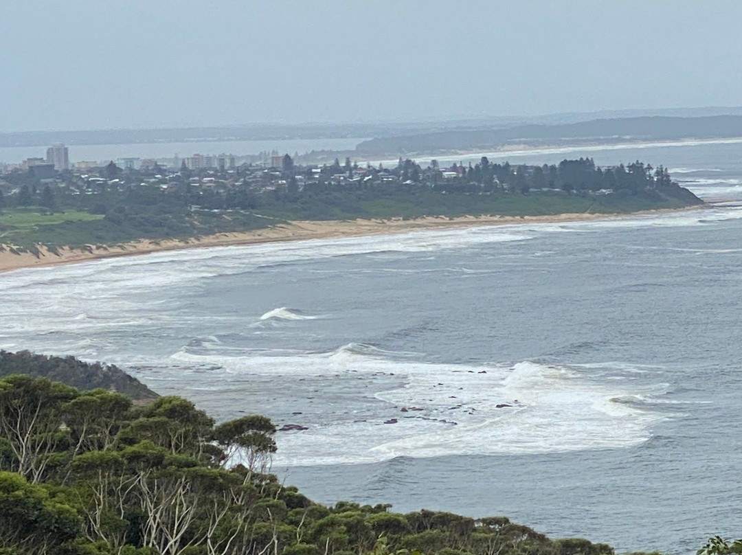 Crackneck Lookout Coast Walk景点图片