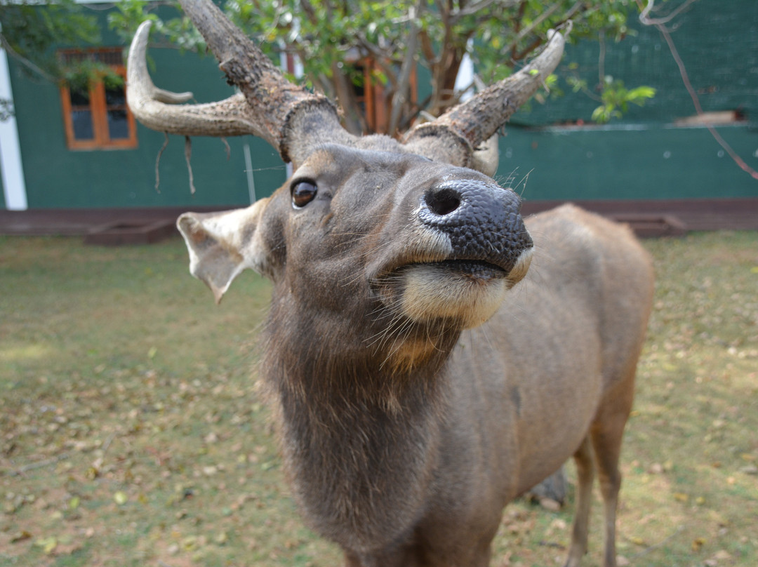 Lunugamvehera National Park-Tanamalwila必去景点