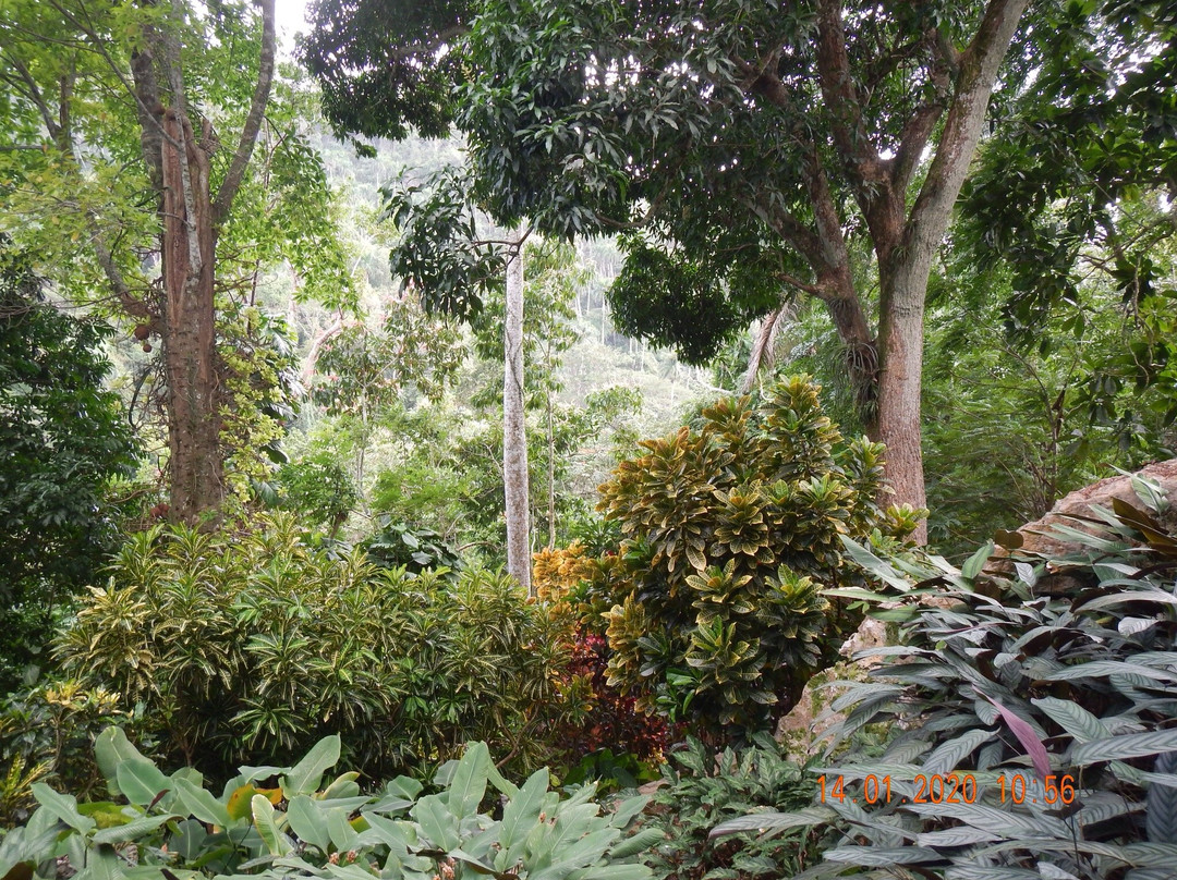 Jardin Botanico de Viñales景点图片