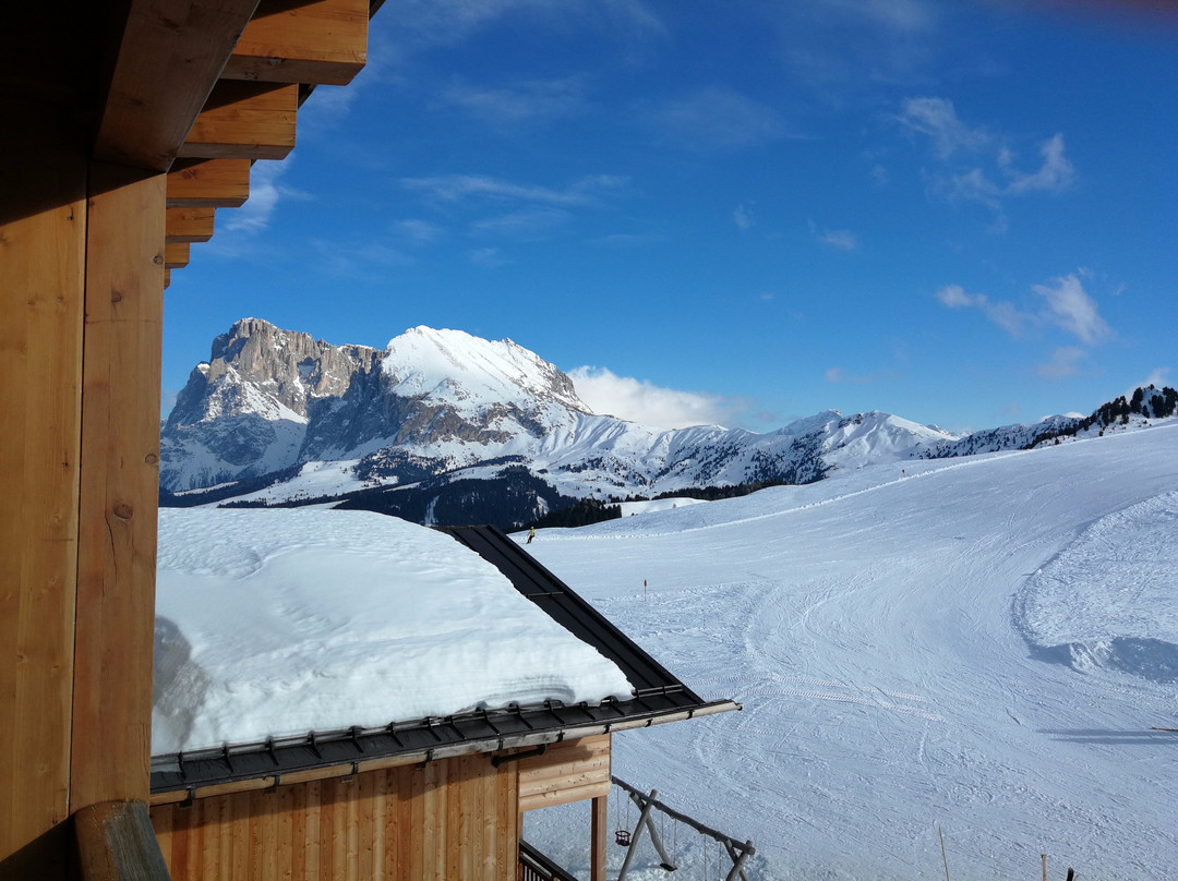 Goldknopf Alpine Lifestyle Hotel主图