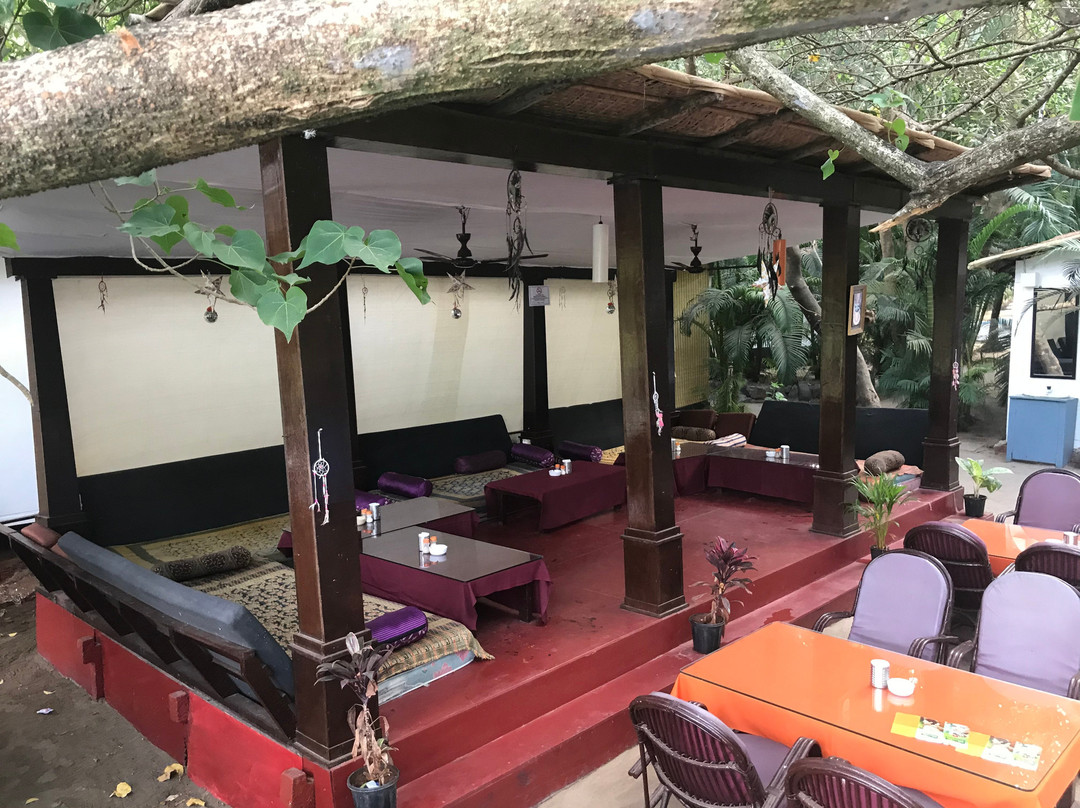 Dream Catcher by Feather Touch主图