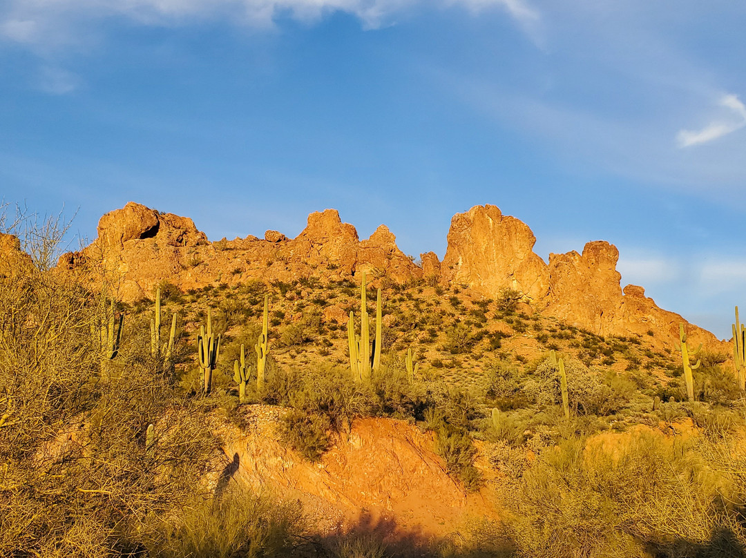 Arizona ATV Adventures-Florence必去景点