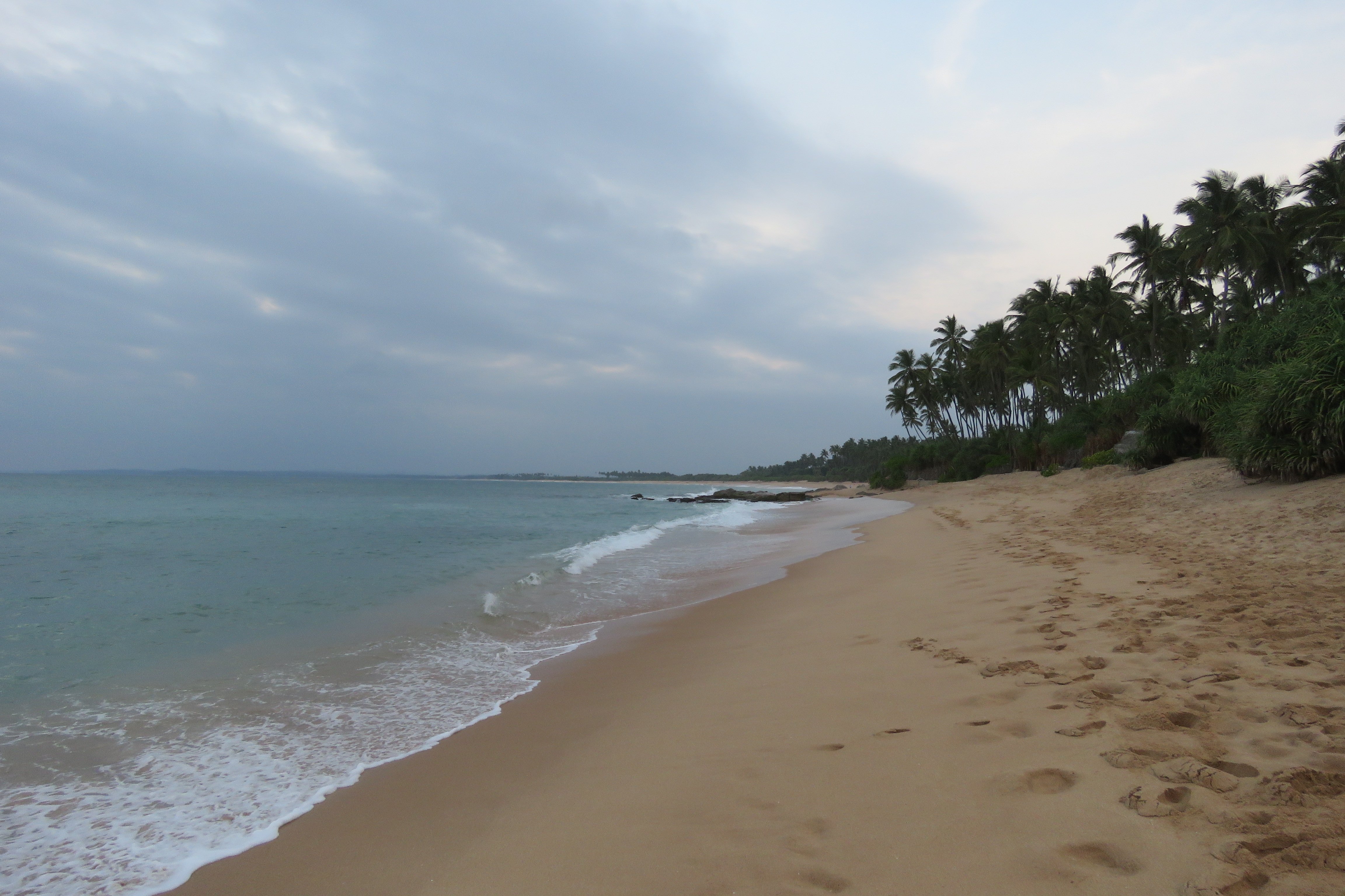 Turtle Paradise-泳池