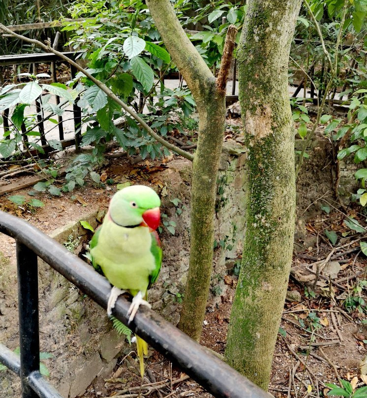 National Zoological Gardens of Sri Lanka景点图片