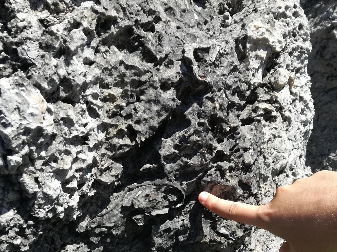 Ekobideak-毕尔巴鄂必去景点