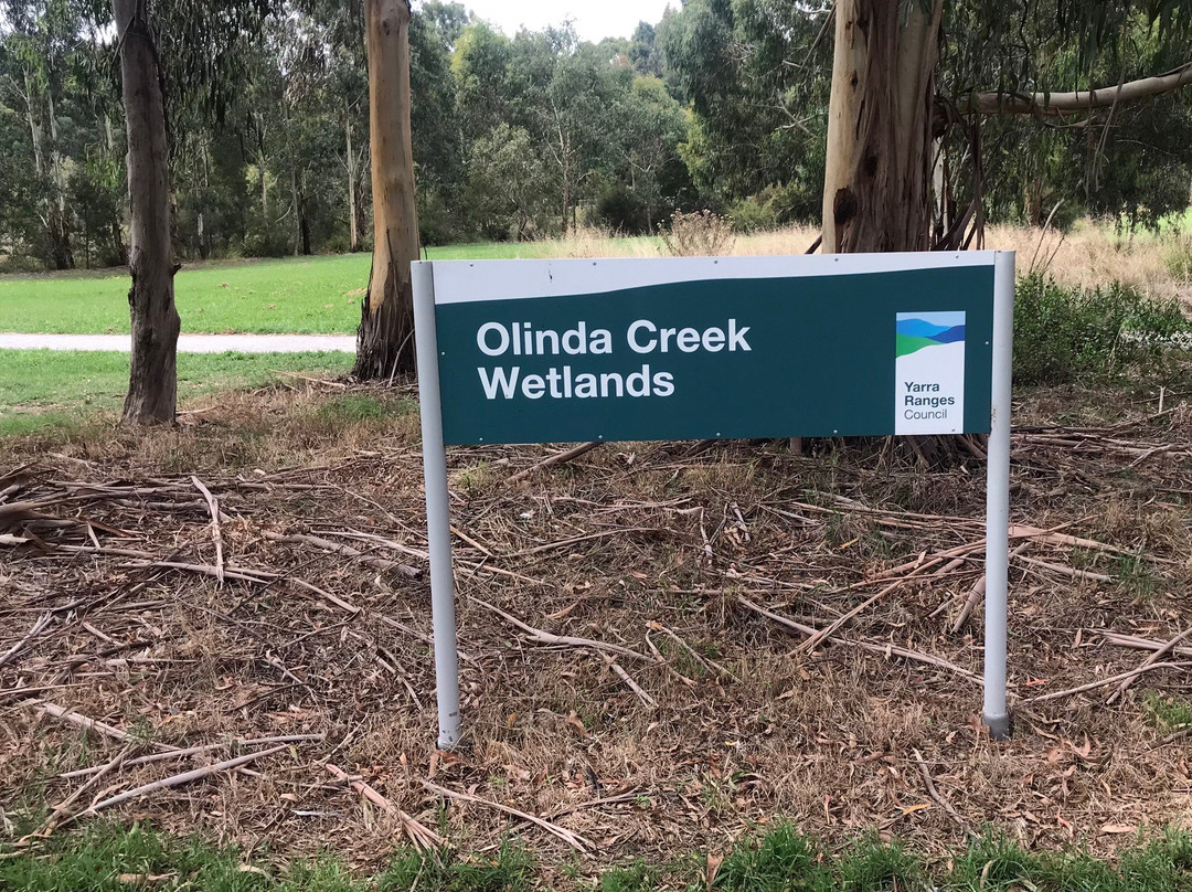 Hull Road Wetlands-Lilydale必去景点