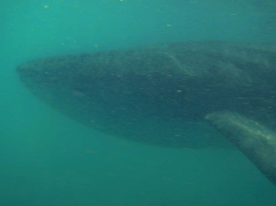 MeXplore-拉巴斯必去景点