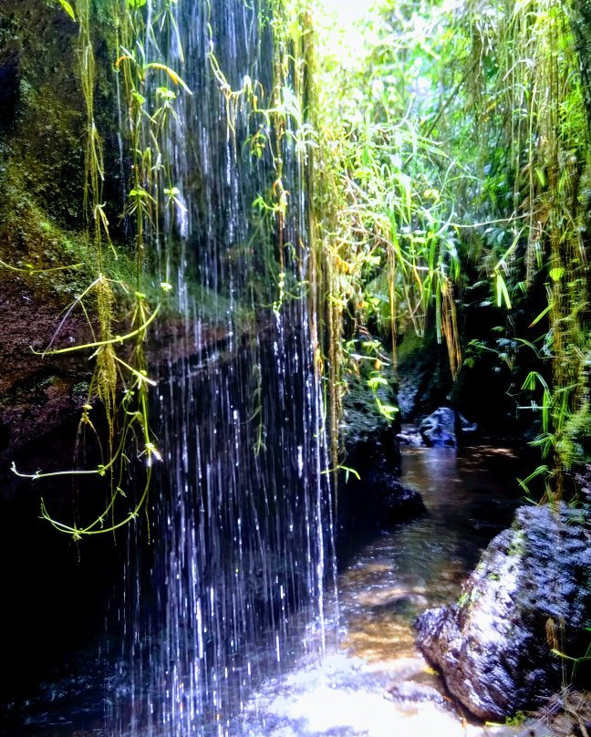 Burung Walet Waterfall-Tetebatu必去景点