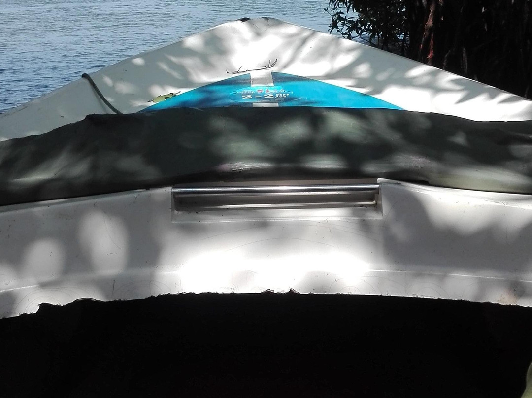 Sarisaralanka Holiday Tours-斯里贾亚瓦德纳普拉必去景点