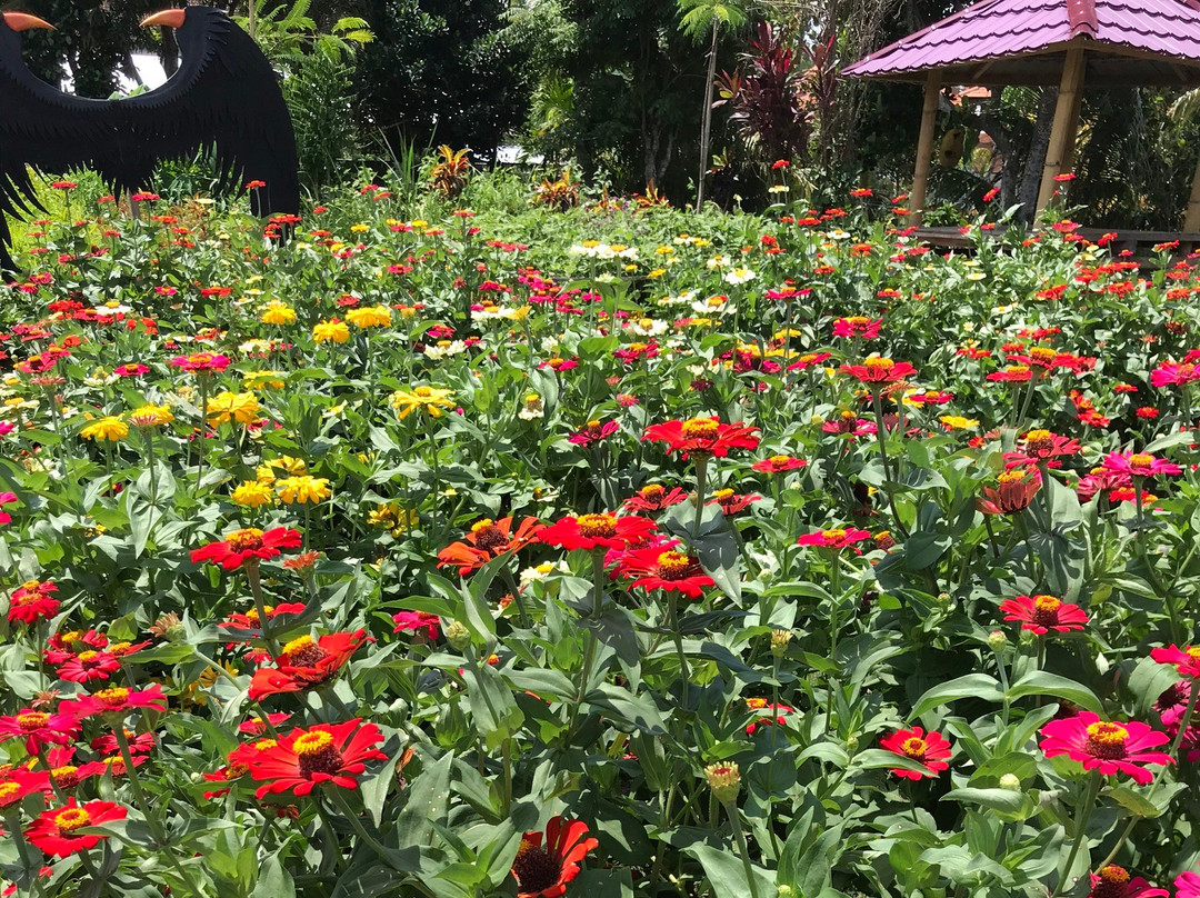 Narmada Botanic Garden-马塔兰必去景点