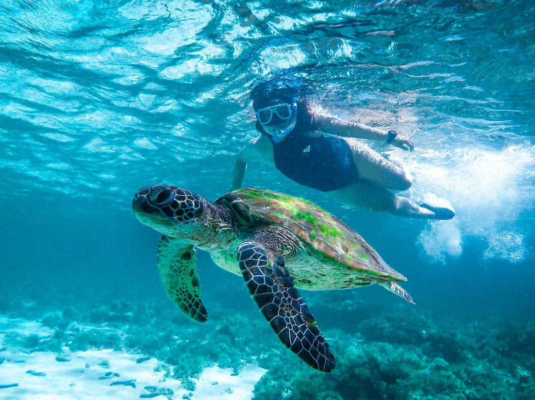 潜水度假村主图