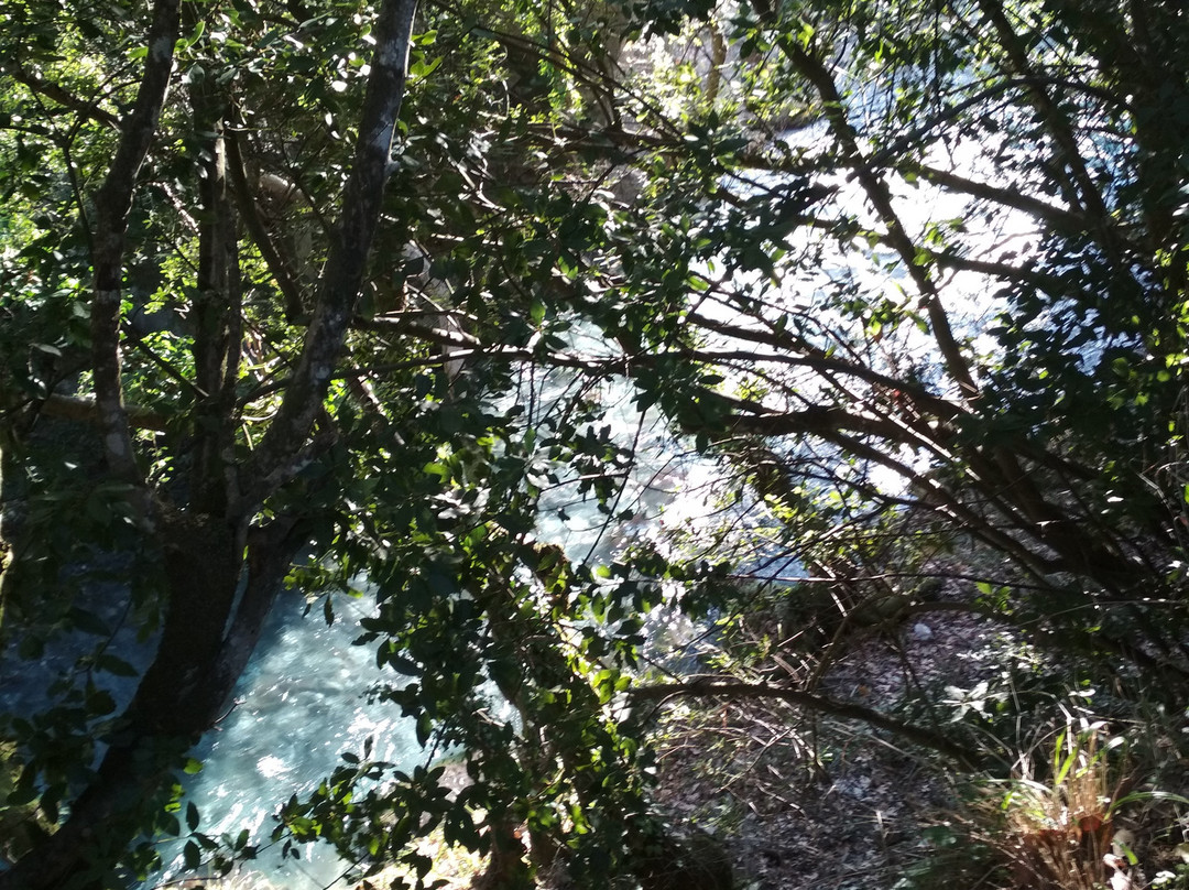 Lousios River-Dimitsana必去景点