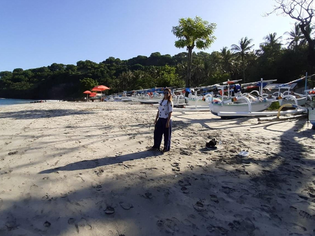 Tour Kiosk-乌布必去景点