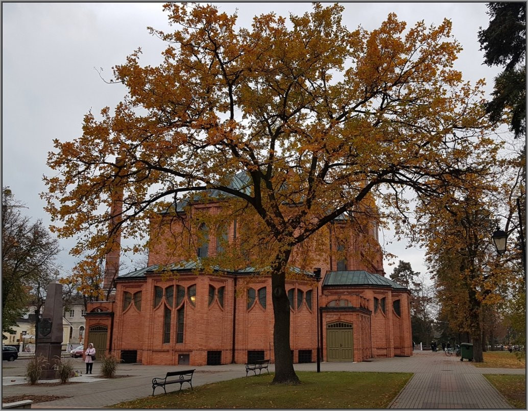 Kolegiata Swietych Apostołow Piotra i Pawła景点图片