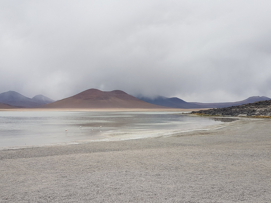 Laguna Blanca景点图片