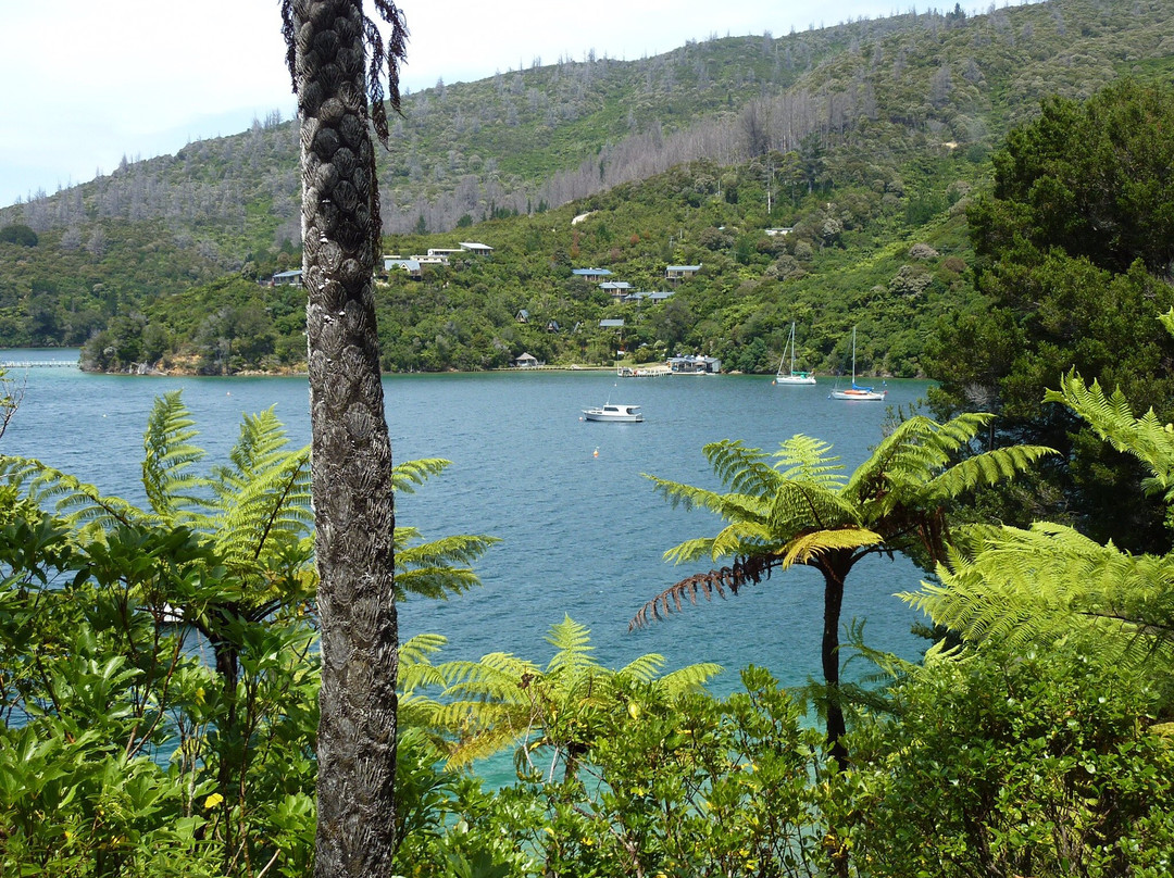 Marlborough Sounds Adventure Company - Day Tours景点图片