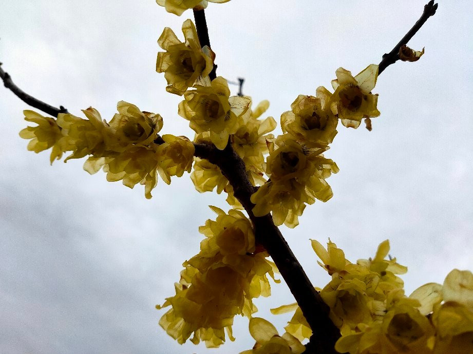 Robai Park-所泽市必去景点