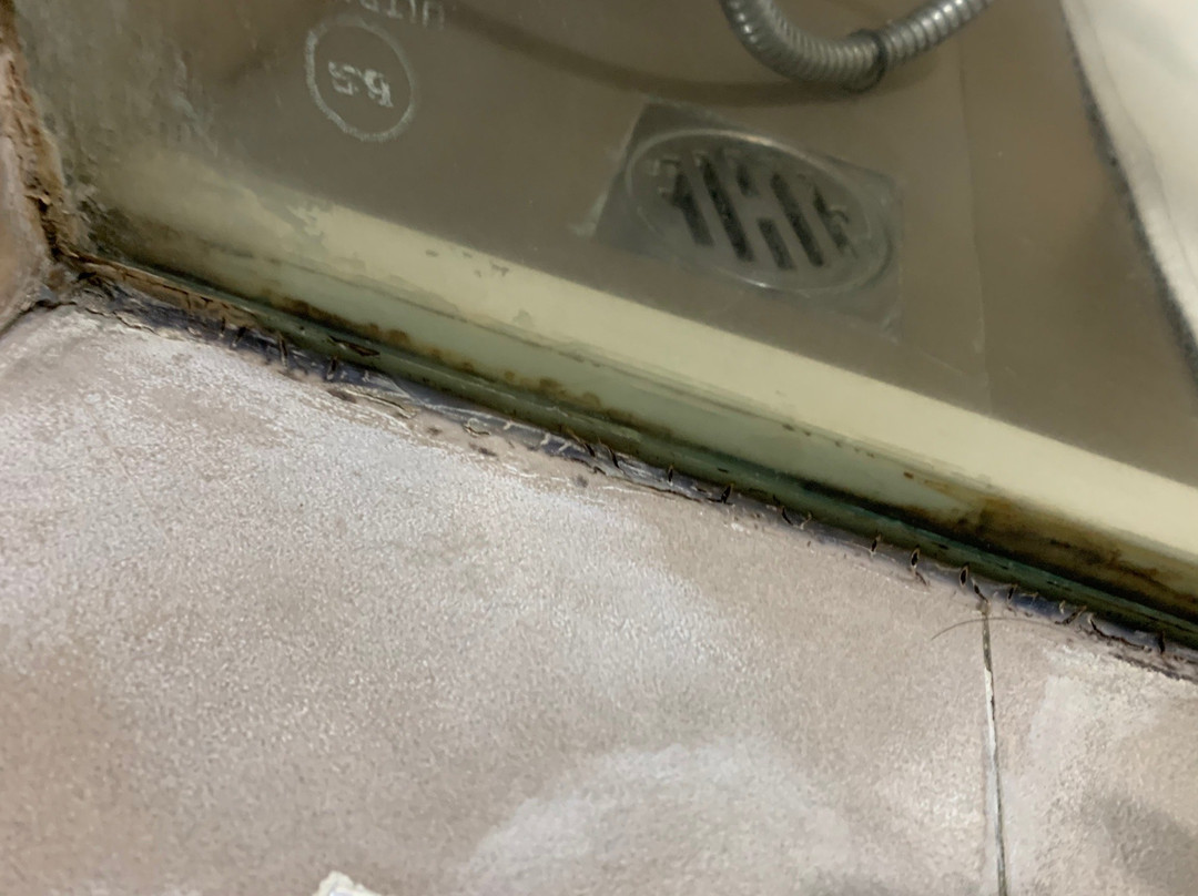 萨亚吉酒店主图