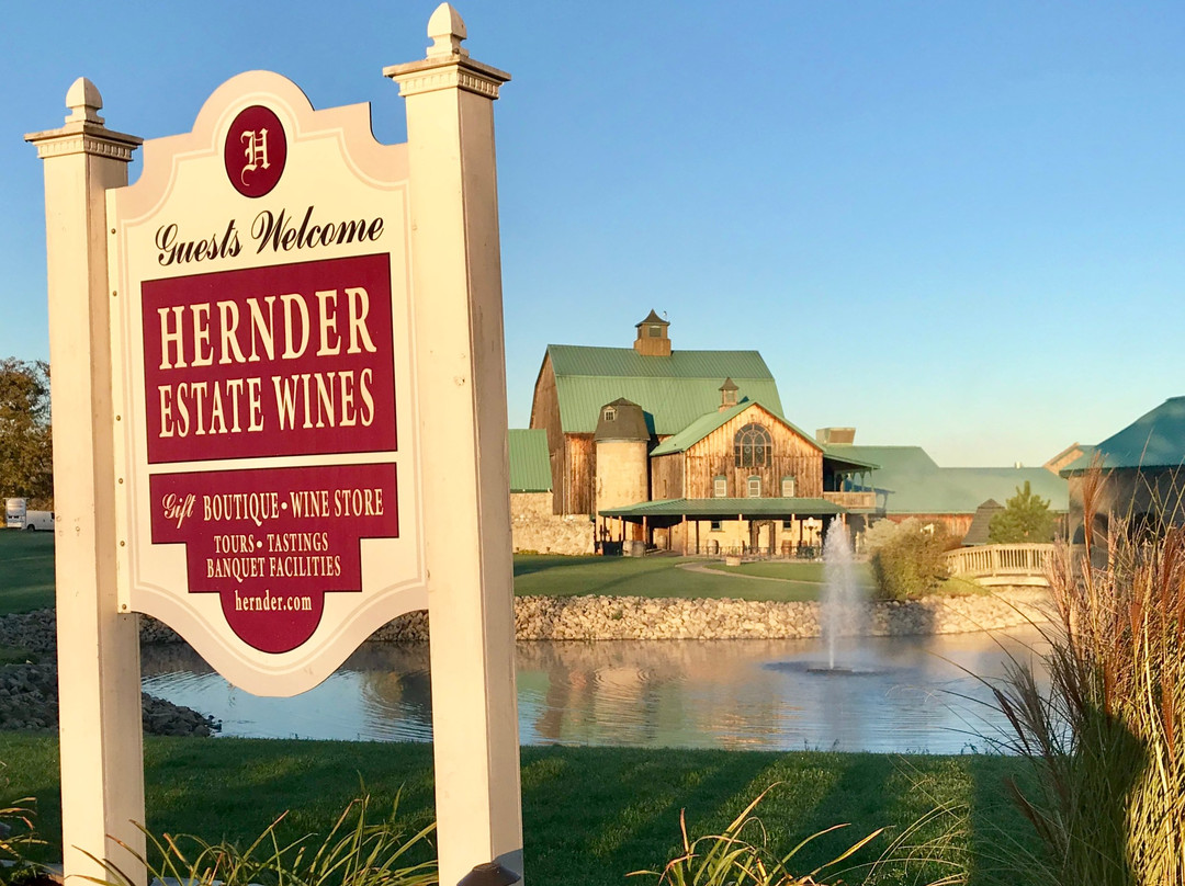 Hernder Estate Wines景点图片
