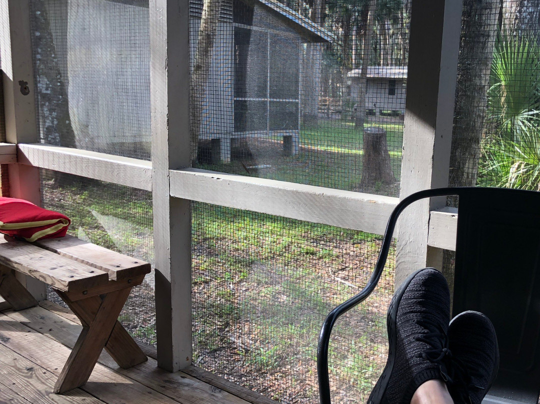 Hontoon Island State Park-迪兰必去景点