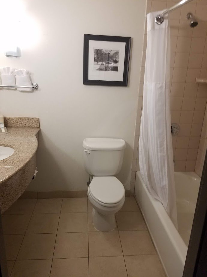 Hilton Garden Inn South Bend-浴室