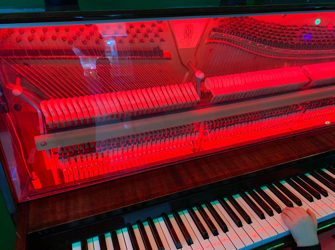 GeniumPark-圣彼得堡必去景点