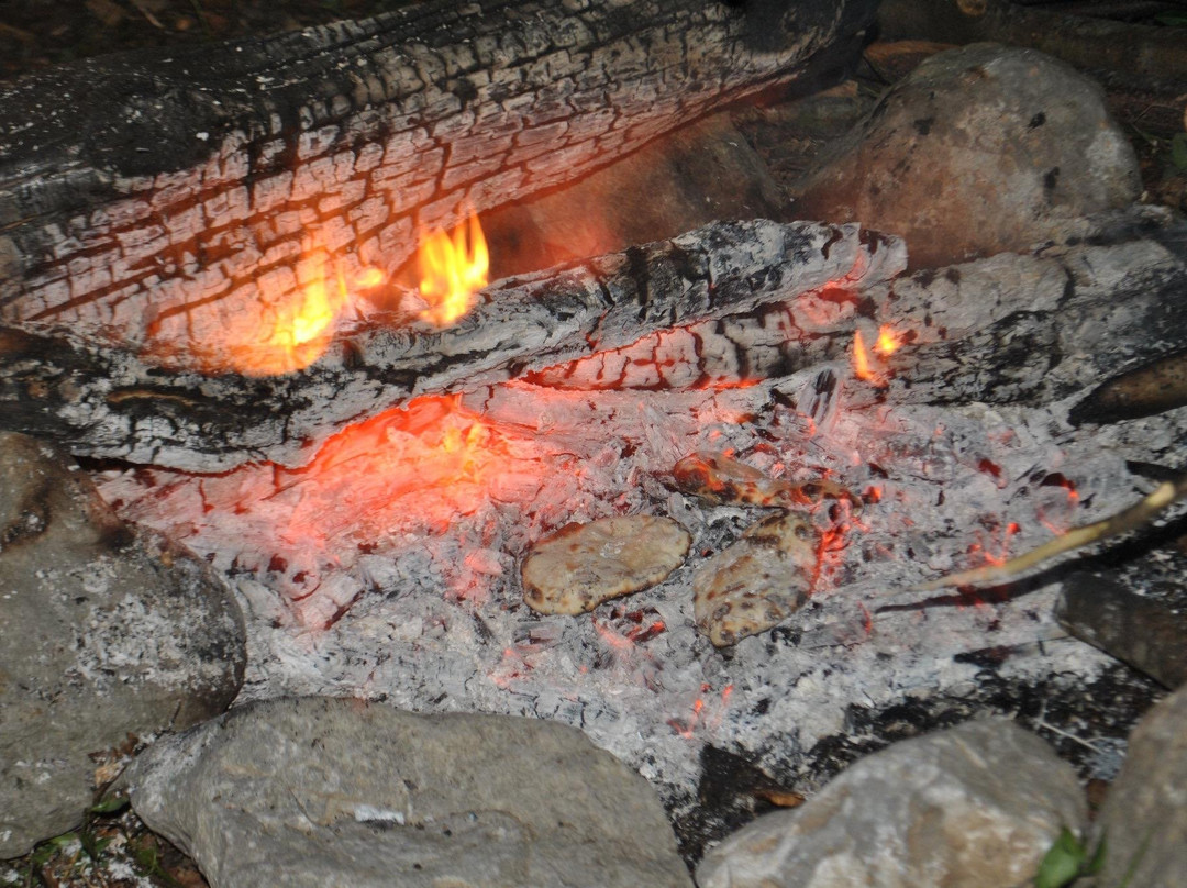 Calabria Survival - Scuola di Sopravvivenza-Verbicaro必去景点