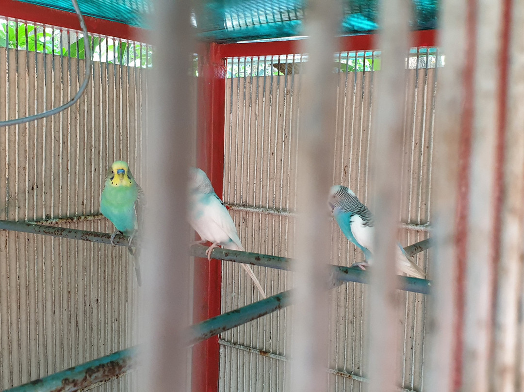 Westbay Resort and Spa主图