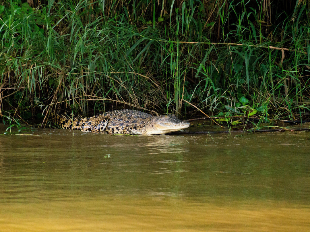 Borneo Beyond Adventure-亚庇必去景点