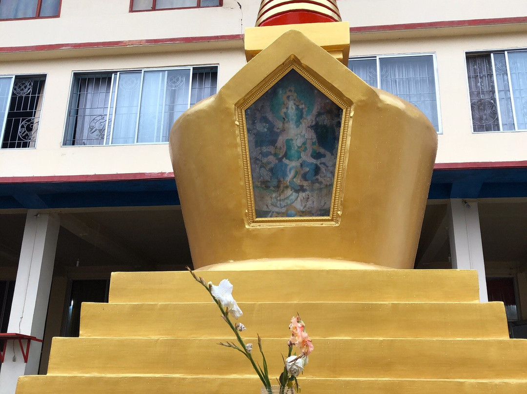 Do Drul Chorten Stupa景点图片