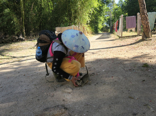 Ye Lin Kalaw Trekking-格劳必去景点