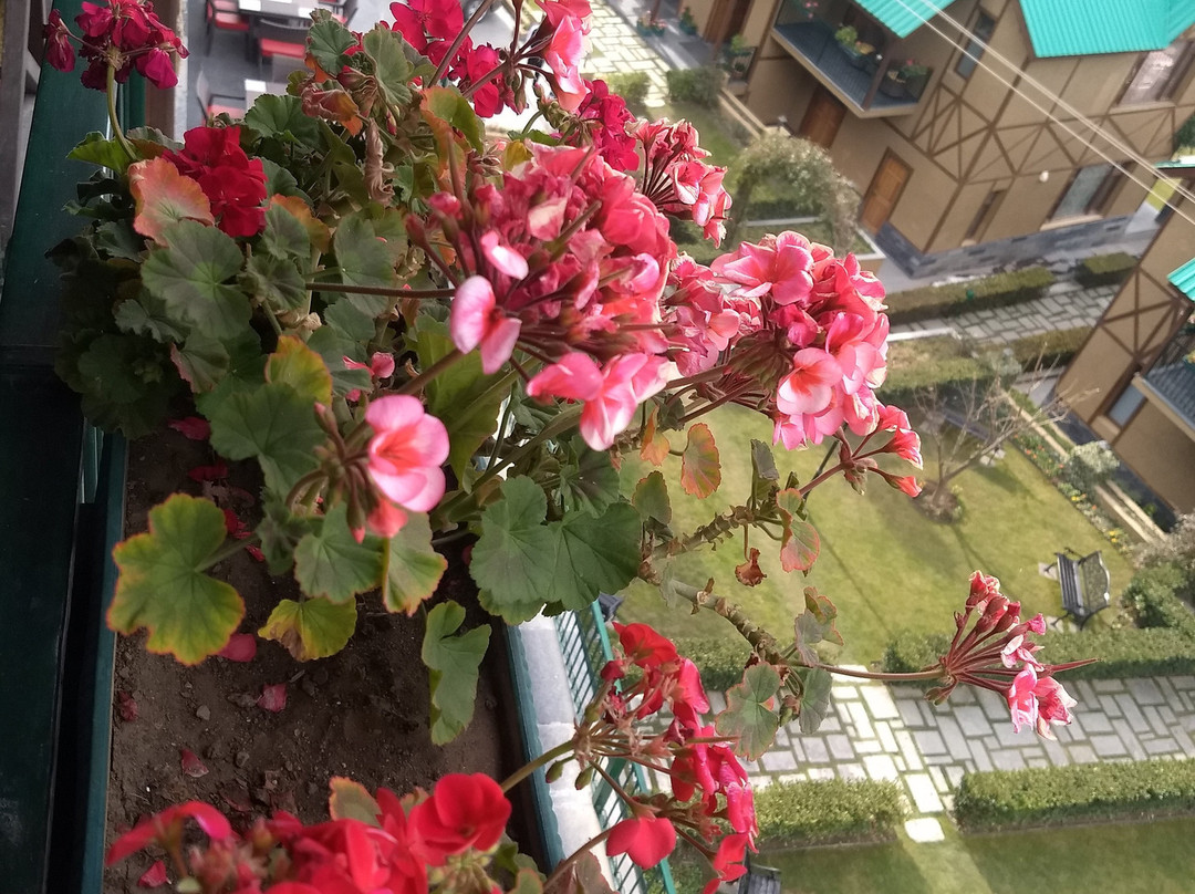 The Anantmaya Resort主图