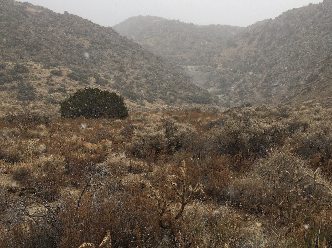 Piedra Lisa Trail-Tijeras必去景点