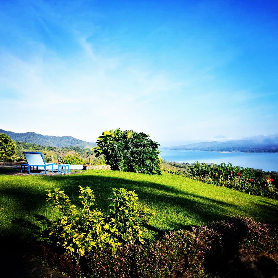Nepenthe B&B-官方