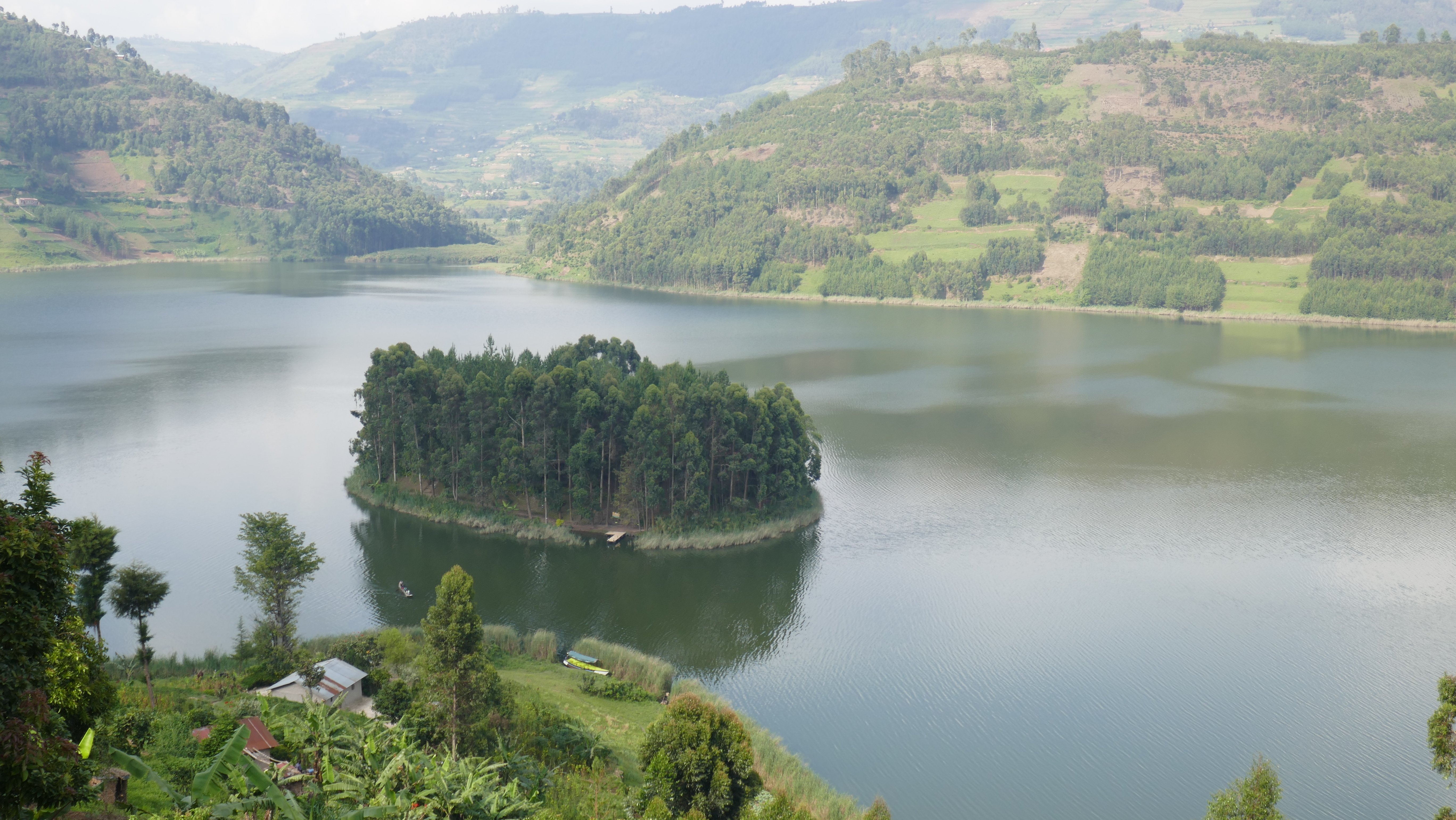 Bright Island Bunyonyi-官方