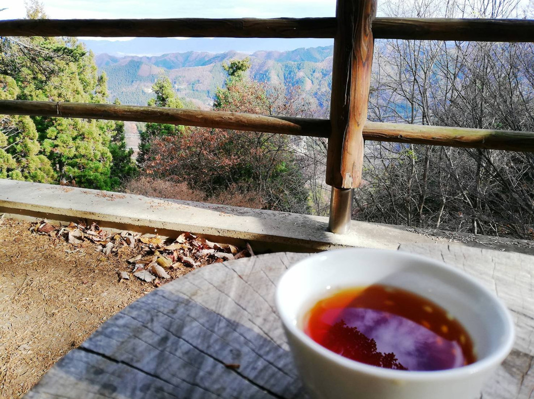 Azumayasan-小鹿野町必去景点