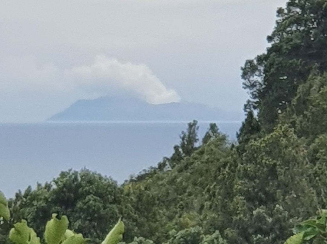 Kohi Point Lookout景点图片