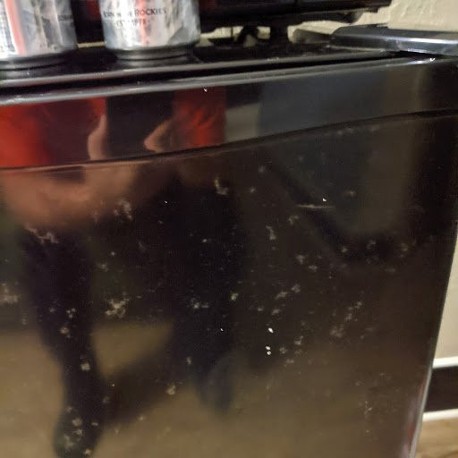 Quality Inn Goose Creek主图