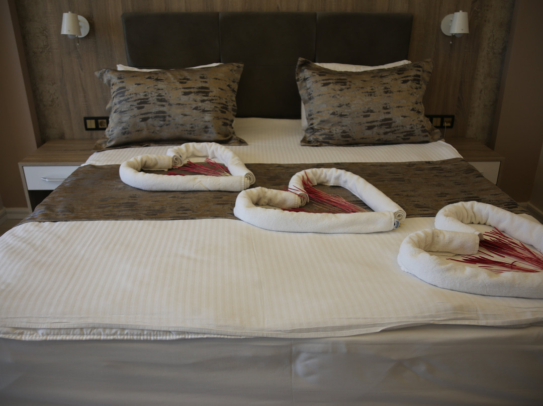 Ema Öztürk Thermal Hotel主图