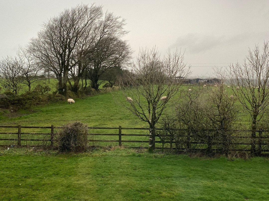 Travelodge Okehampton Sourton Cross主图