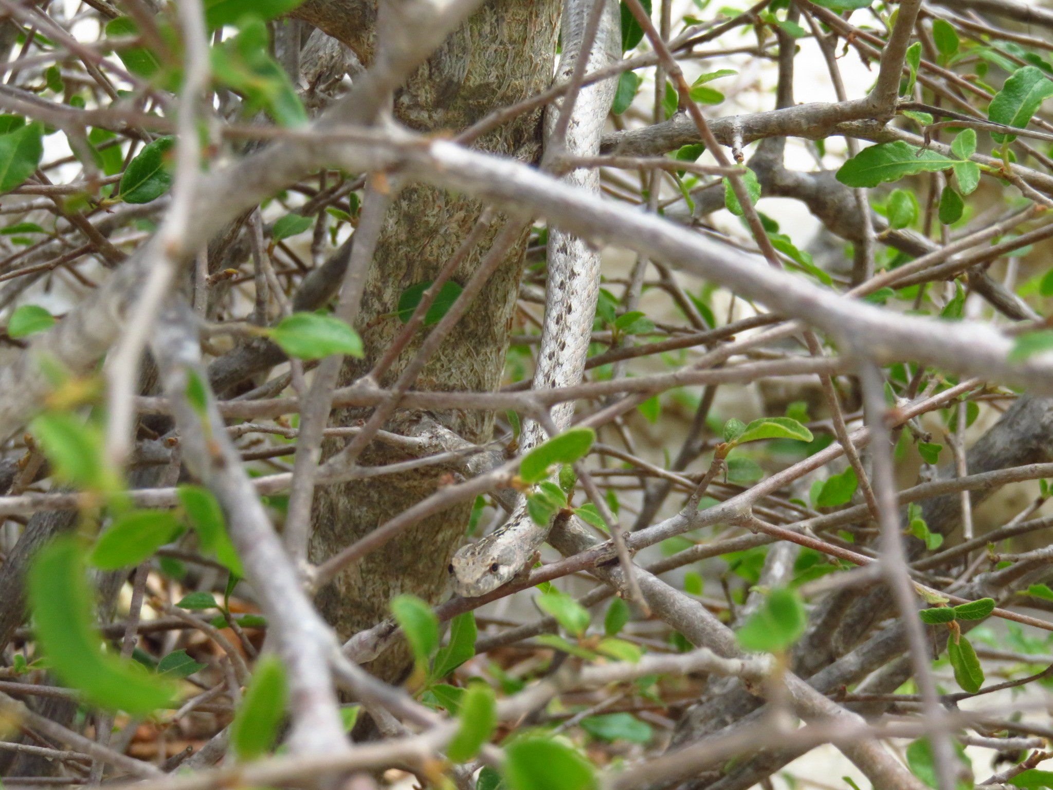 Anakao Ocean Lodge-浴室