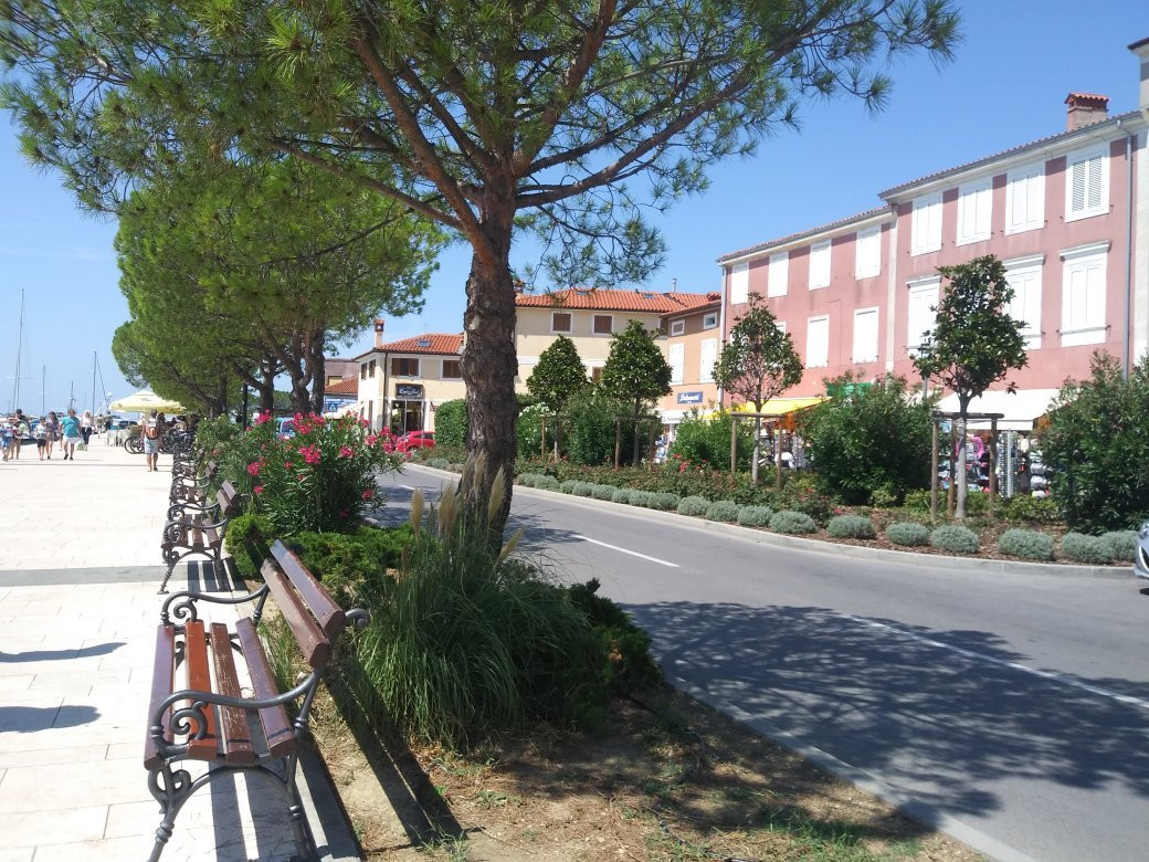 Turistično Združenje Izola景点图片
