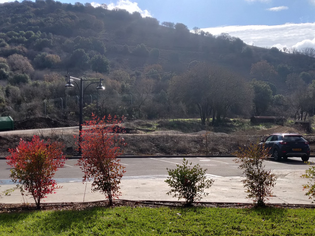 Merom Golan Resort主图