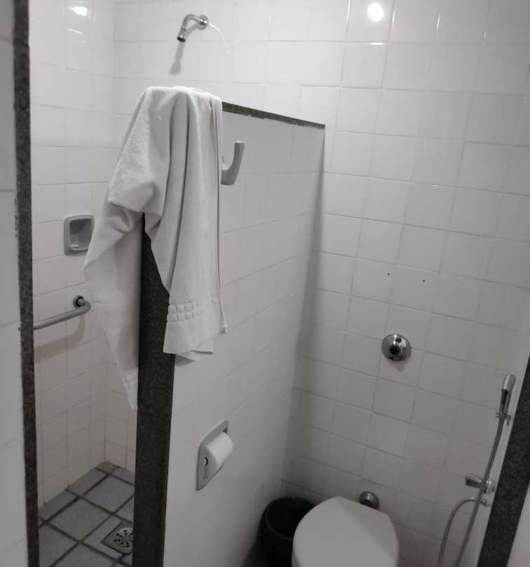 Hotel Das Palmeiras主图